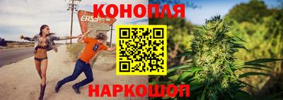 шишки Дубна
