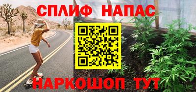 шишки Дубна
