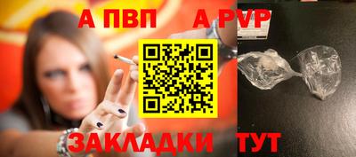 шишки Дубна