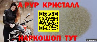 шишки Дубна