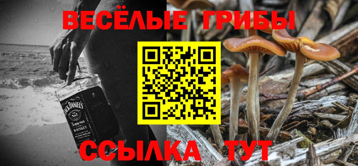 Галлюциногенные грибы Psilocybe Джанкой
